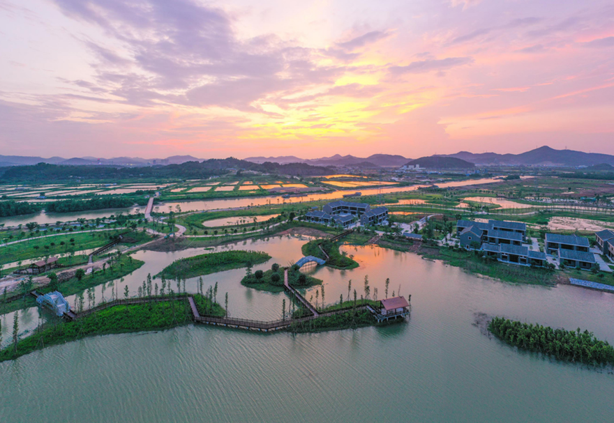 高水平的城市規(guī)劃建設(shè)水平。對(duì)標(biāo)最高最優(yōu)最好城市規(guī)劃，推進(jìn)城市綜合管廊、道路橋梁等基礎(chǔ)設(shè)施建設(shè)，城市功能不斷完善，城市景觀不斷美化，促進(jìn)城市集約高效和轉(zhuǎn)型發(fā)展，打造經(jīng)濟(jì)發(fā)展新動(dòng)力。圖為翠亨國(guó)家濕地公園。