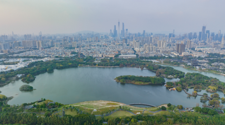 不可缺“濕”的生態(tài)之美！一起暢游大灣區(qū)濕地公園