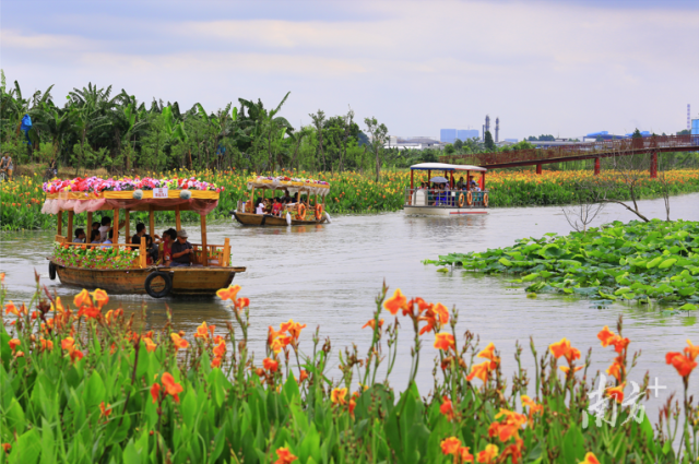 廣東華陽(yáng)湖國(guó)家濕地公園馬滘河花海漂游